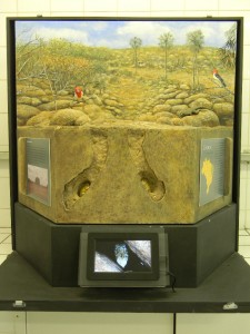 Diorama_seca